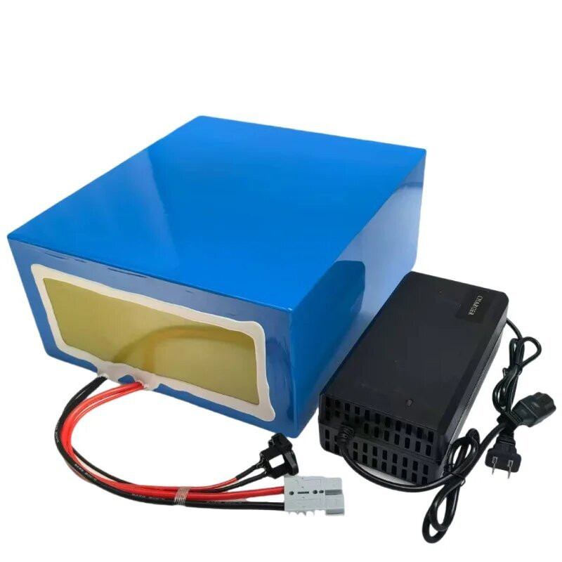72V 고용량 리튬 이온 배터리(BMS 40Ah-100 - 72V 30Ah Lifepo4 Battery Pack 리뷰 및 가격