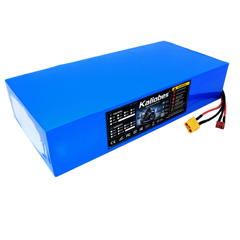 21700 리튬 배터리 팩 60V 50Ah 45Ah 2 - 60V 30Ah 21700 Battery Pack 리뷰 및 가격